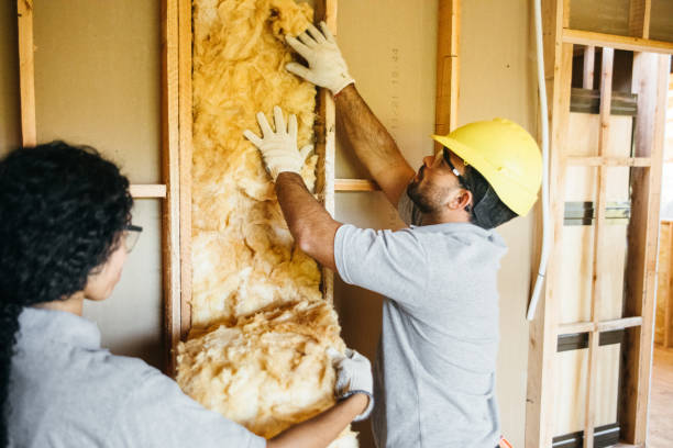Best Insulation for New Construction  in Shattuck, OK