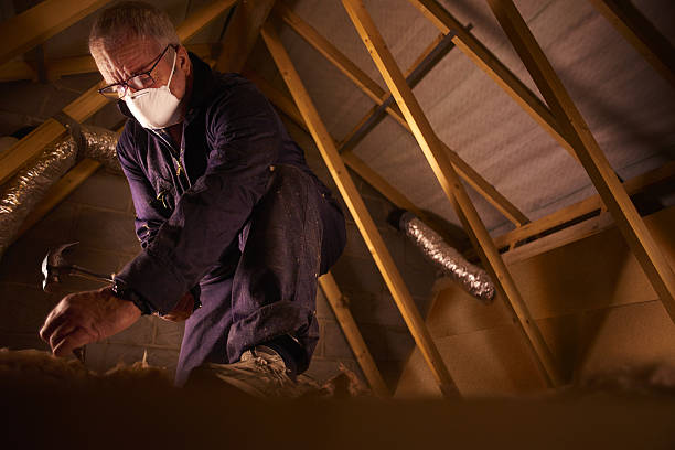 Best Local Insulation Services  in Shattuck, OK
