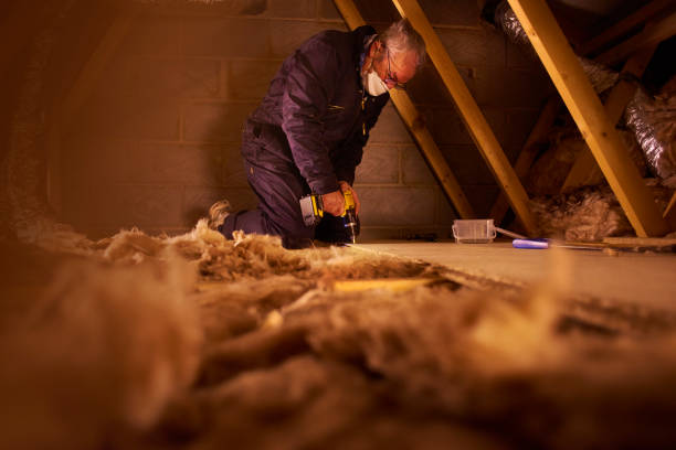 Best Insulation Replacement Services  in Shattuck, OK
